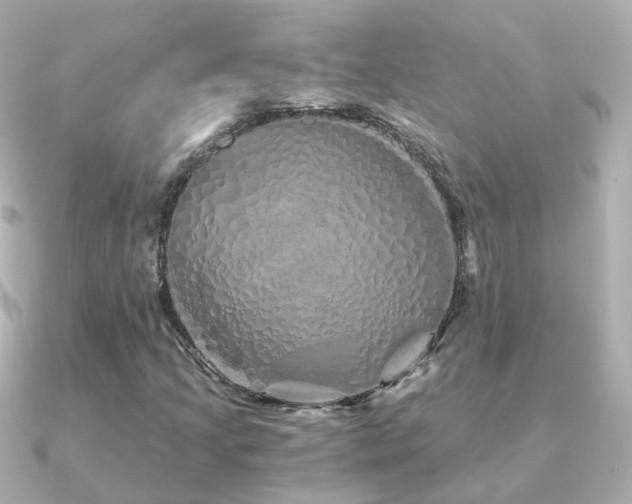 X0000091341205200708101437