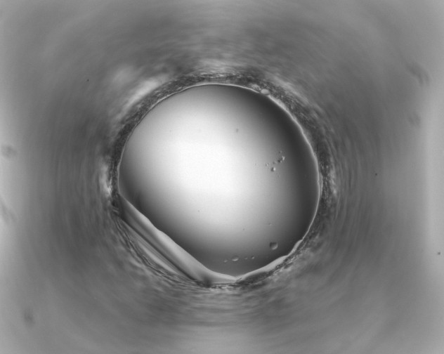 X0000091341206200708101437