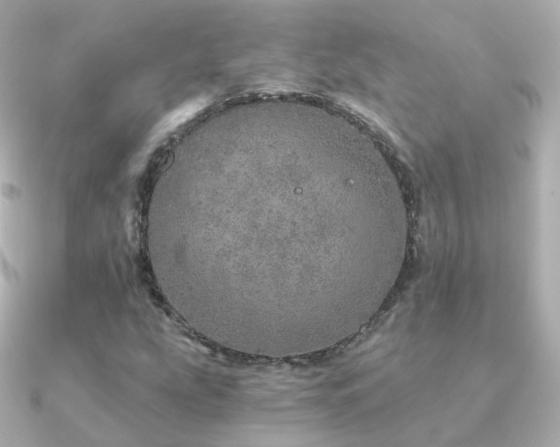X0000091341207200708101437