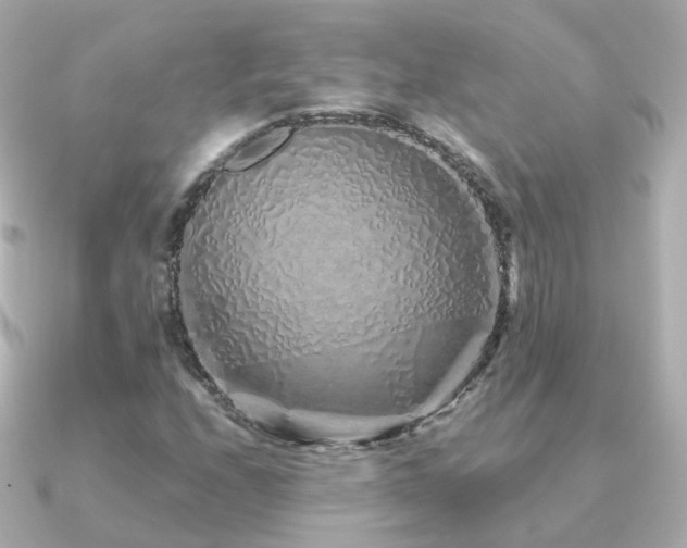 X0000091341208200708101437