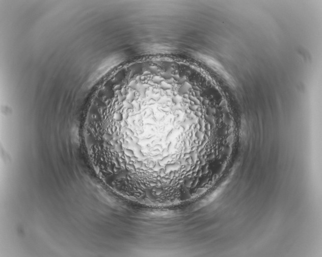 X0000091341209200708101437