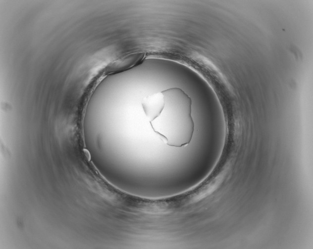X0000091341210200708101437