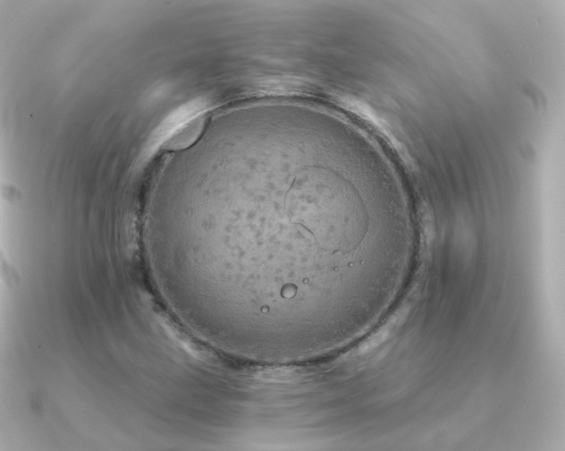 X0000091341211200708101437