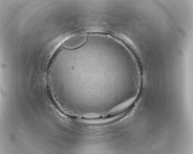 X0000091341212200708101437
