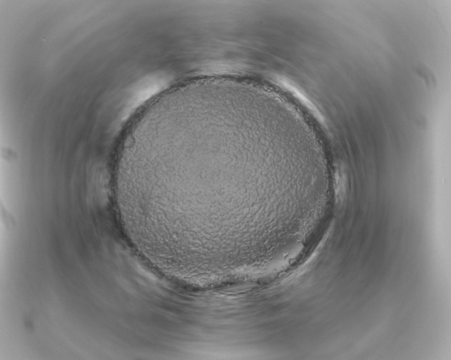 X0000091341213200708101437