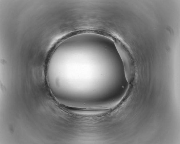 X0000091341214200708101437