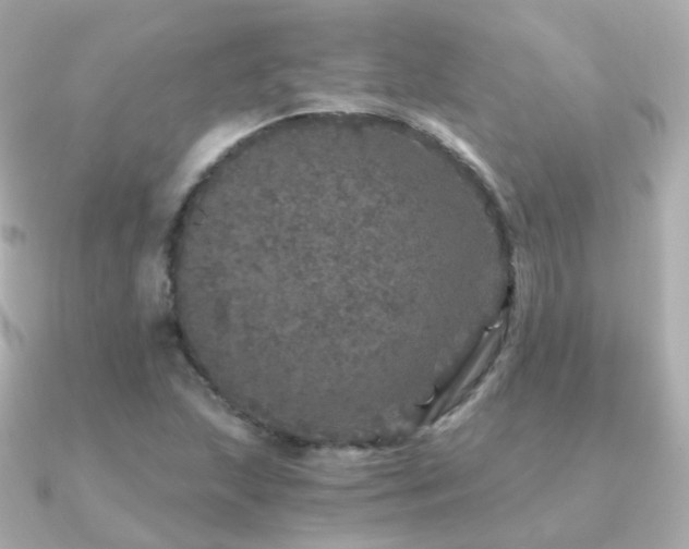 X0000091341215200708101437
