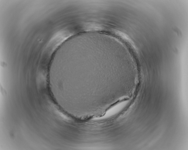 X0000091341217200708101437