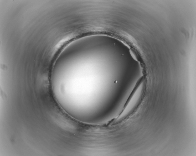 X0000091341218200708101437