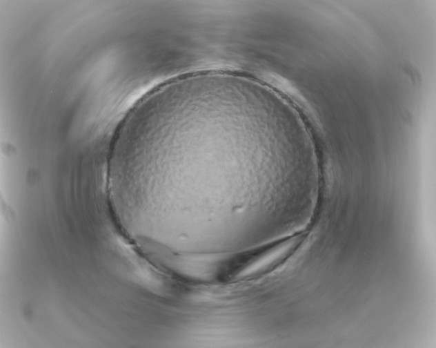X0000091341220200708101438