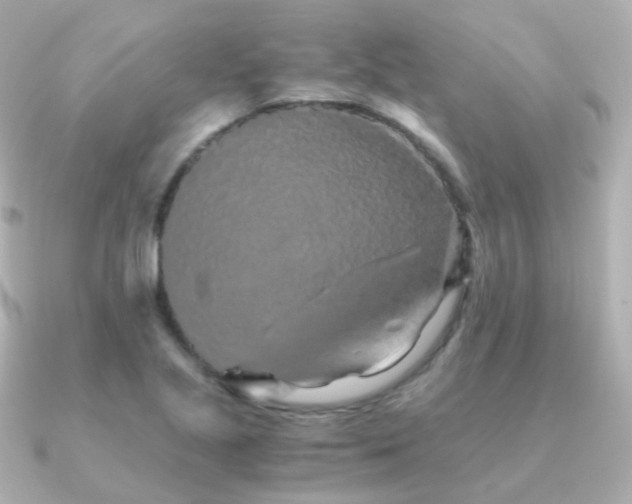 X0000091341221200708101438