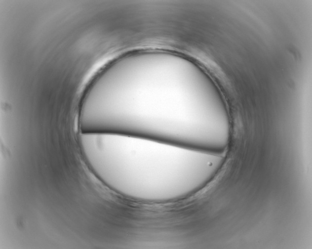 X0000091341224200708101438
