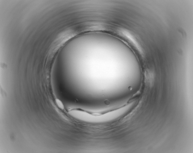 X0000091341225200708101438