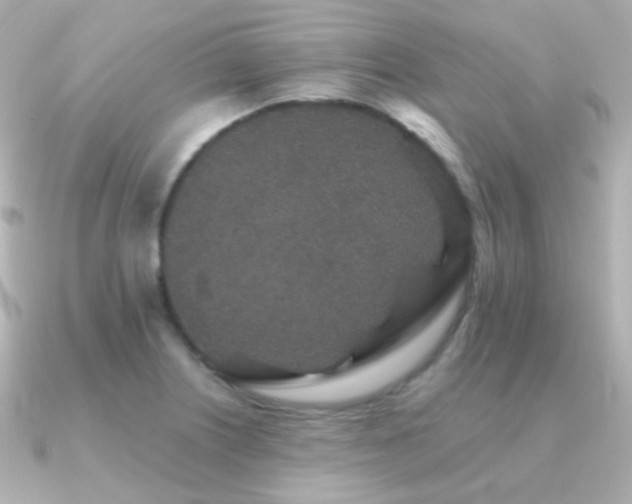 X0000091341226200708101438