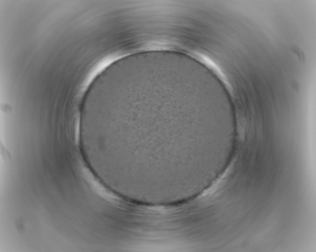 X0000091341227200708101438