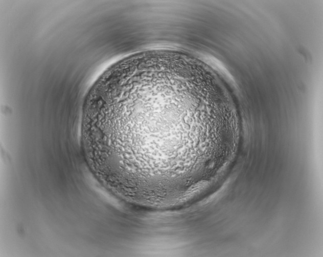 X0000091341228200708101438