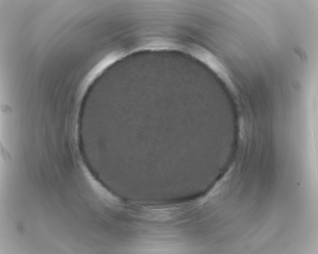 X0000091341229200708101438