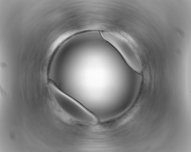 X0000091341230200708101438
