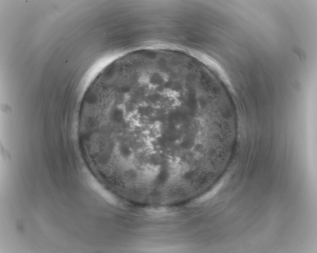 X0000091341231200708101438