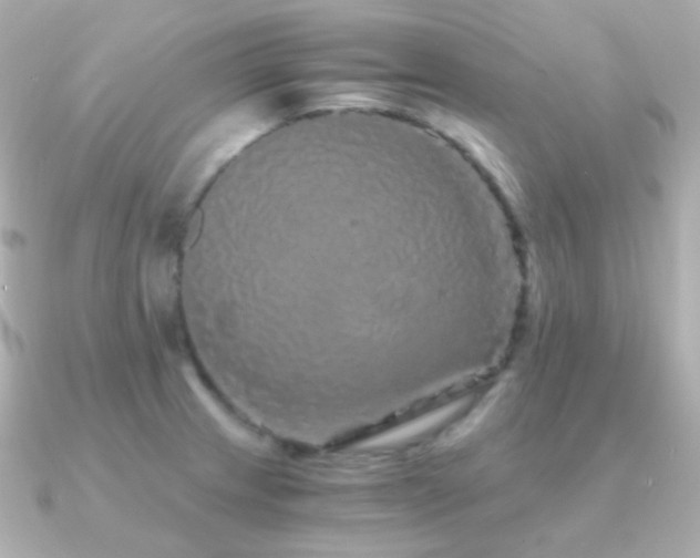 X0000091341233200708101438