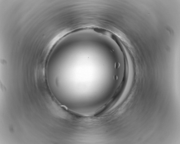 X0000091341234200708101438