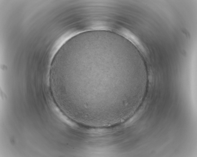 X0000091341236200708101438