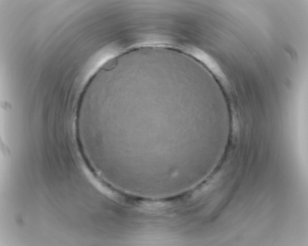 X0000091341237200708101438