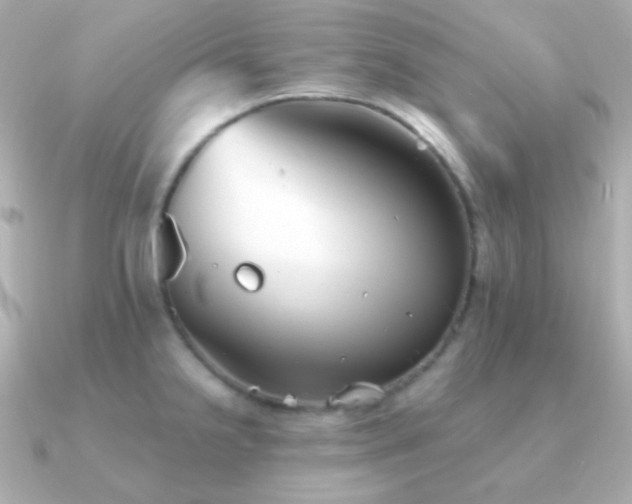 X0000091341238200708101438