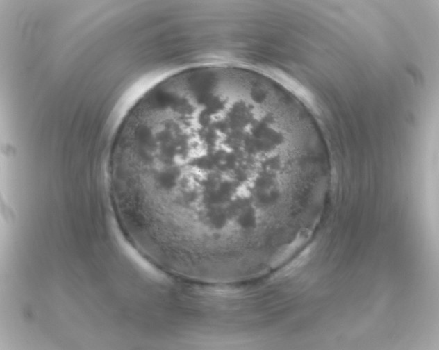 X0000091341239200708101438