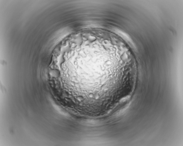 X0000091341241200708101438