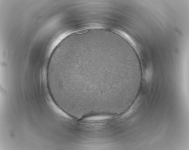 X0000091341243200708101438