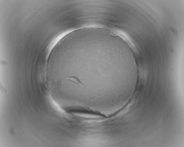 X0000091341244200708101438