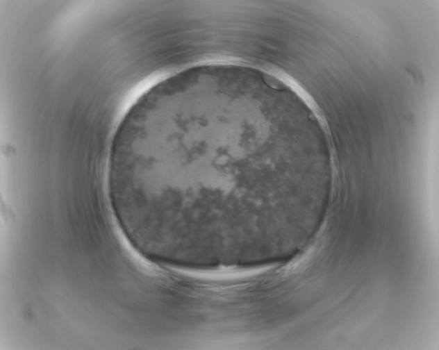 X0000091341245200708101438