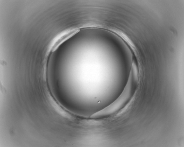 X0000091341246200708101438