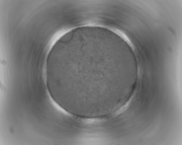 X0000091341247200708101438