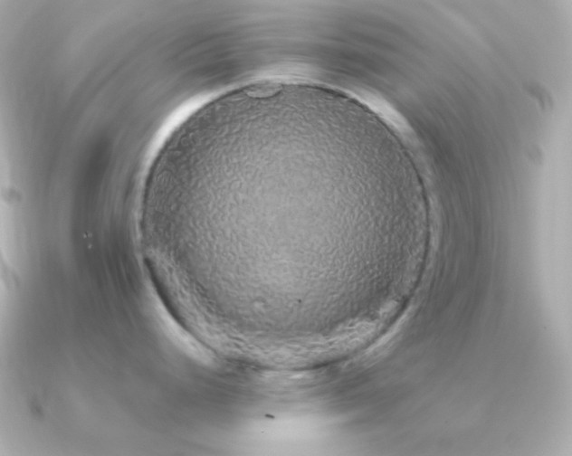 X0000091341248200708101438