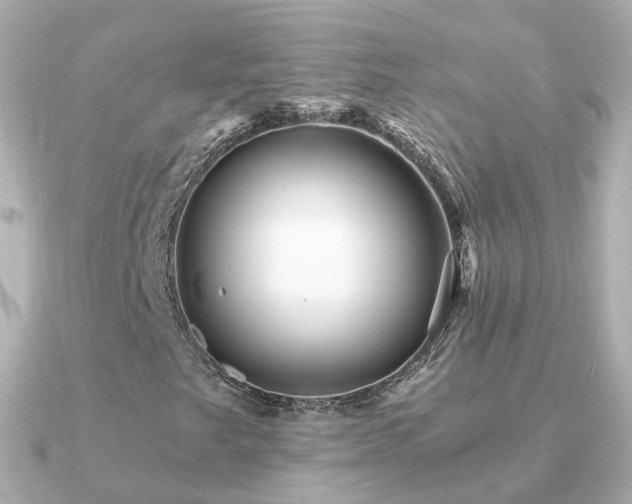 X0000091341249200708101437