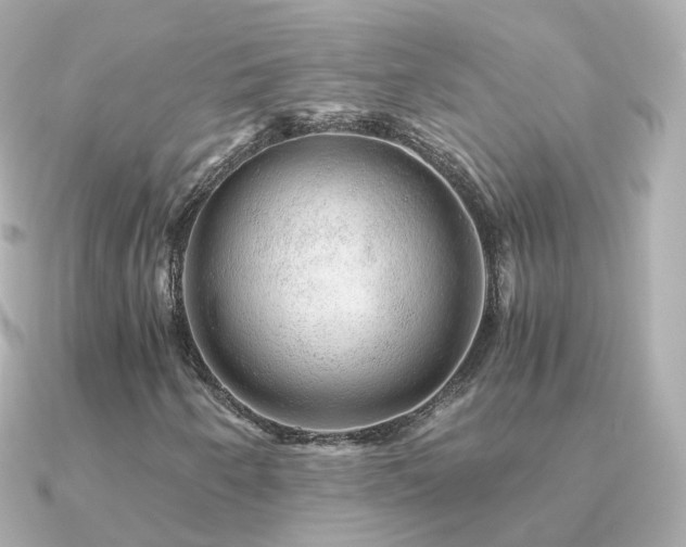 X0000091341250200708101437