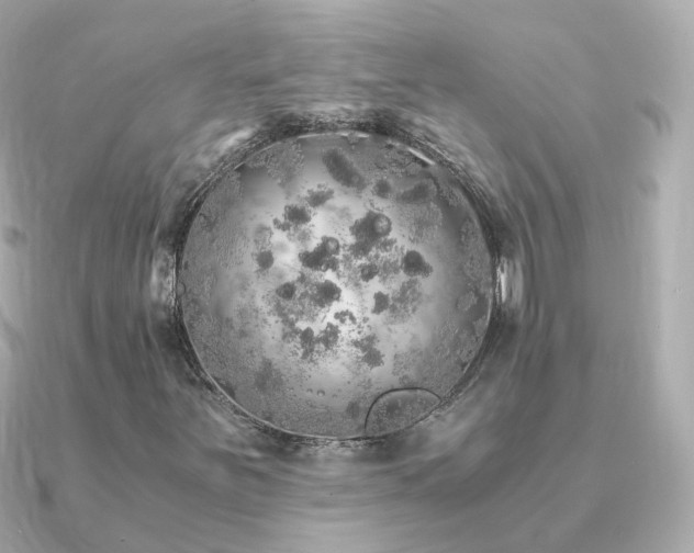 X0000091341251200708101437