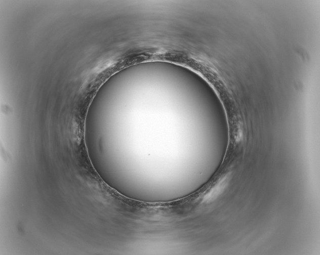 X0000091341253200708101437