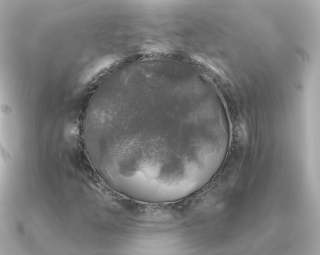 X0000091341254200708101437