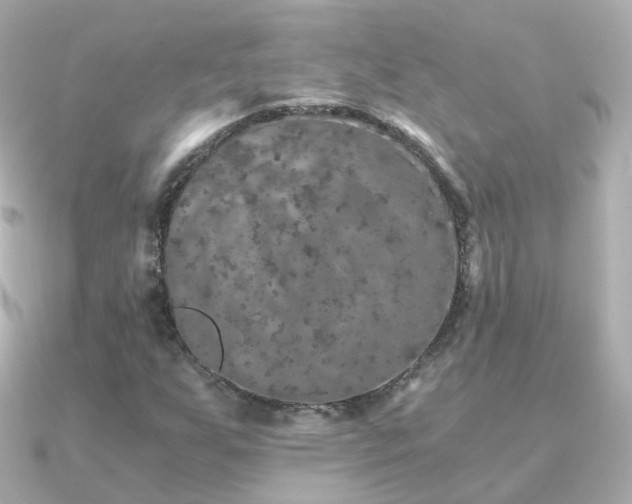 X0000091341255200708101437