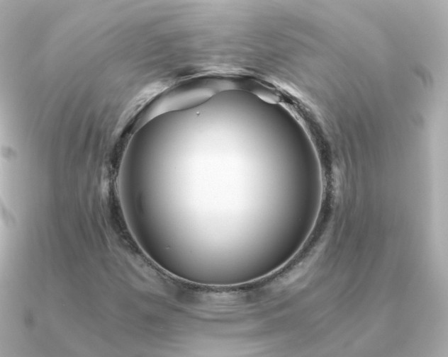 X0000091341257200708101437