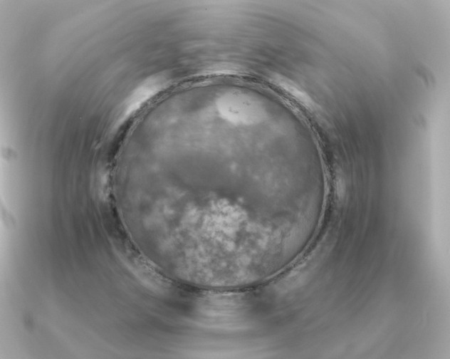 X0000091341258200708101437