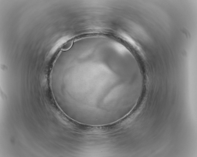 X0000091341259200708101437