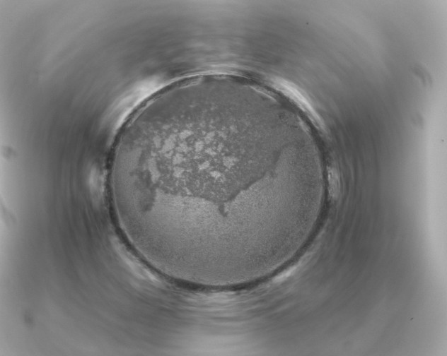 X0000091341260200708101437
