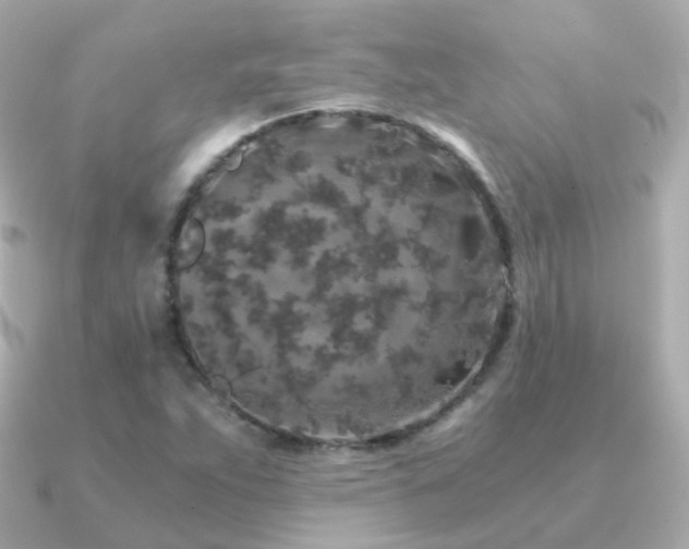 X0000091341263200708101437