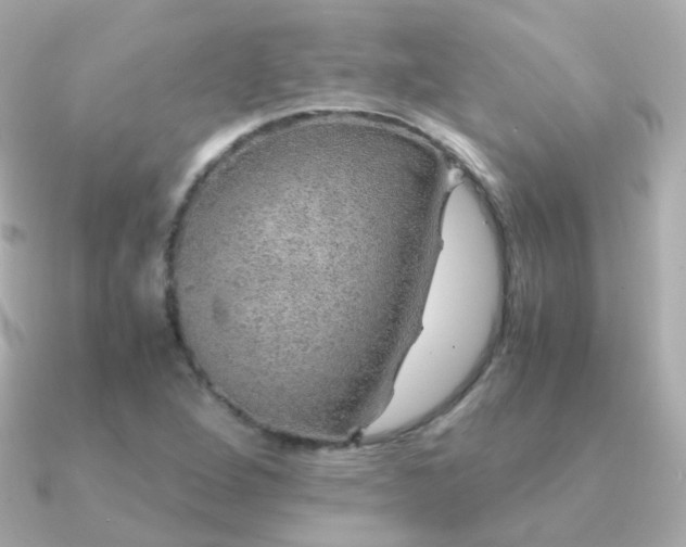 X0000091341264200708101437