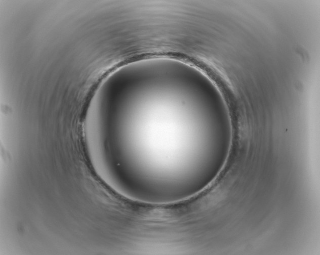 X0000091341265200708101437