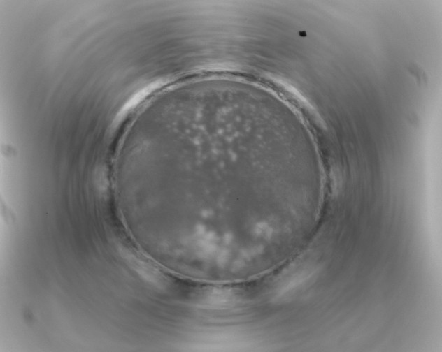 X0000091341266200708101437